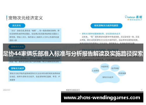 足协44家俱乐部准入标准与分析报告解读及实施路径探索 足协44家俱乐部准入标准与分析报告解读及实施路径探索