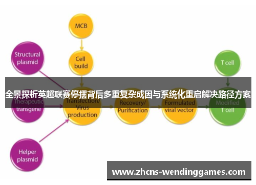 全景探析英超联赛停摆背后多重复杂成因与系统化重启解决路径方案 全景探析英超联赛停摆背后多重复杂成因与系统化重启解决路径方案