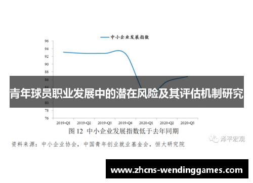 青年球员职业发展中的潜在风险及其评估机制研究